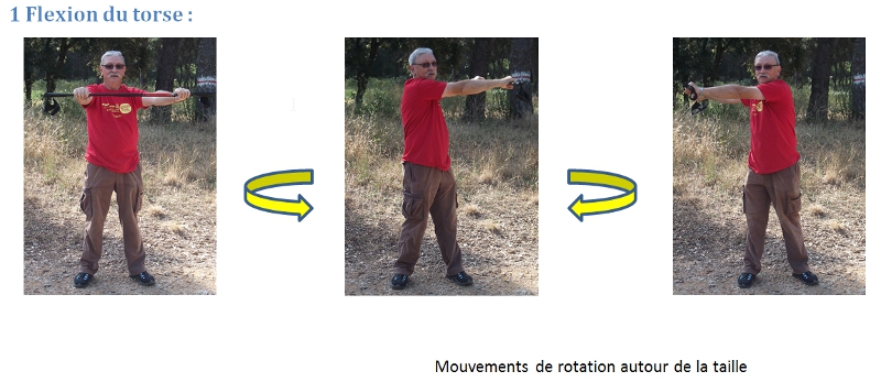 Flexions du torse