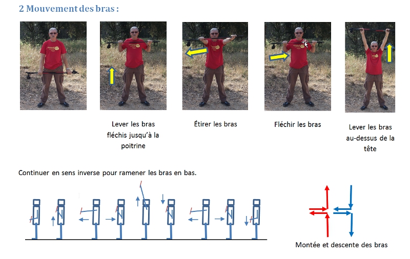 Mouvements des bras