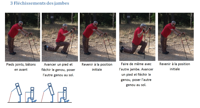 Fléchissements des jambes