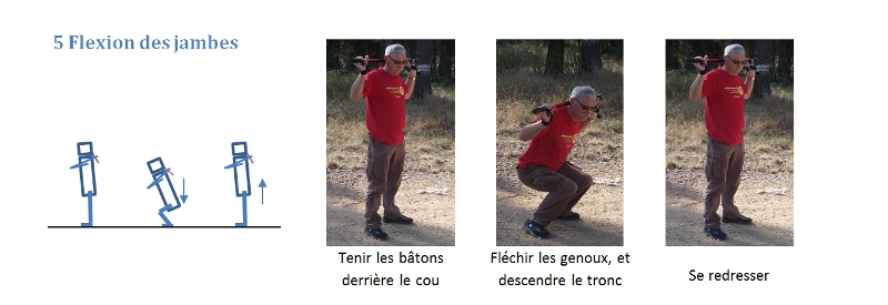 Flexions des jambes